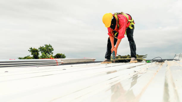 Best Steel Roofing  in Postville, IA