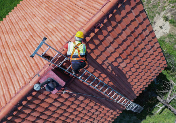 Best Cold Roofs  in Postville, IA