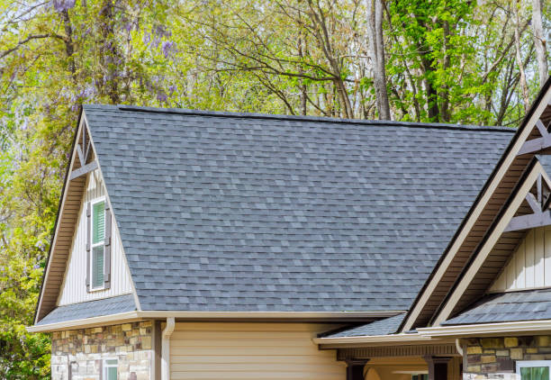 Best Roof Insulation Installation  in Postville, IA