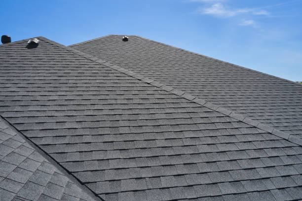 Best Roof Maintenance and Cleaning  in Postville, IA