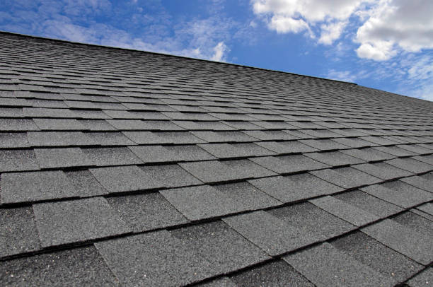 Best Flat Roofing  in Postville, IA